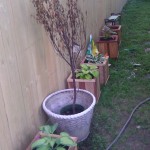 Before Before