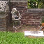 Dogs People's most precious memories in life are preserved here. Even pets!